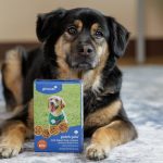 Novos Cookies Girl Scouts Encantam Humanos e Pets - cookies Girl Scouts