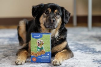Novos Cookies Girl Scouts Encantam Humanos e Pets - cookies Girl Scouts
