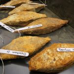 Descoberta Inédita na Áustria: O Maior Tesouro de Ferro da Europa - descoberta de ferro na Áustria