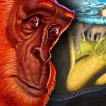 Novos Jogos de Tabuleiro Discworld Chegam em Breve - jogos de tabuleiro Discworld